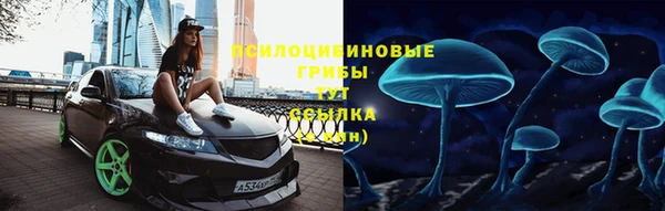 apvp Новодвинск