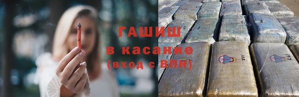 гашик Няндома
