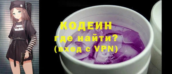 гашик Няндома