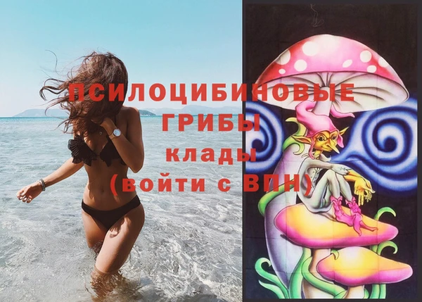 бошки Нягань